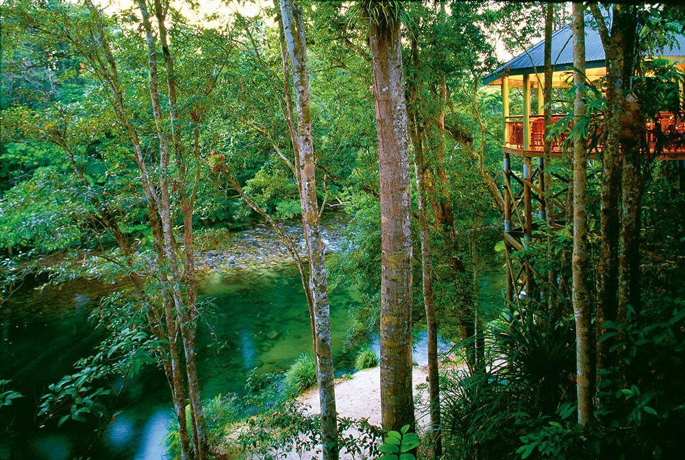Silky Oaks Lodge Mossman Εξωτερικό φωτογραφία