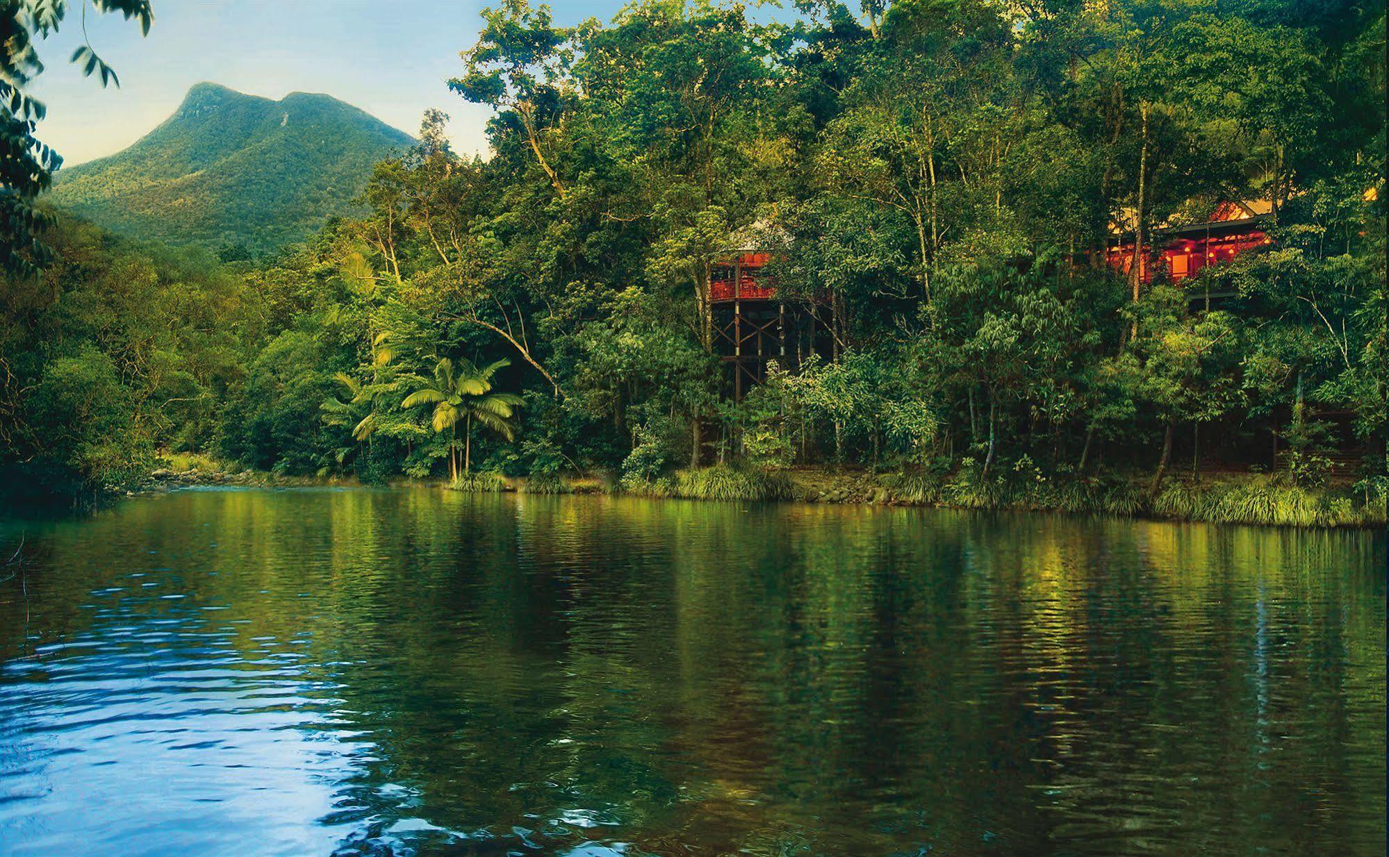 Silky Oaks Lodge Mossman Εξωτερικό φωτογραφία